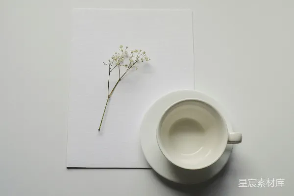 高清摄影 白杯子、花和纸放在白色表面上。