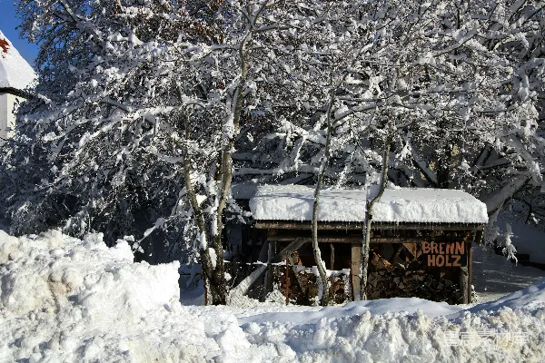 高清摄影 被雪覆盖的棕色木屋