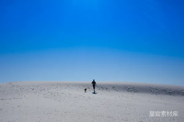 高清摄影 白天在白色沙滩上行走的人