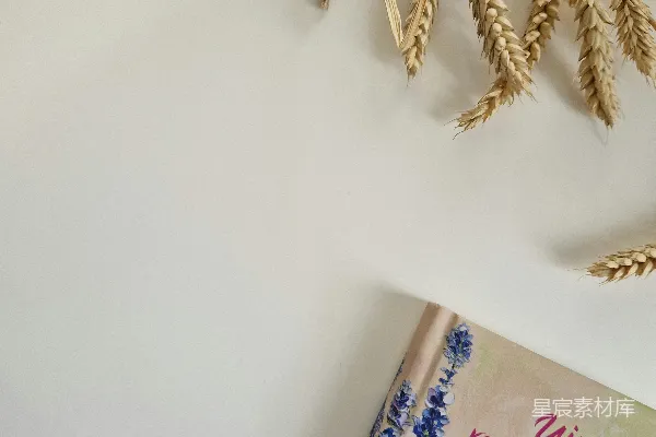 高清摄影 一本书放在桌子旁边植物的上面。