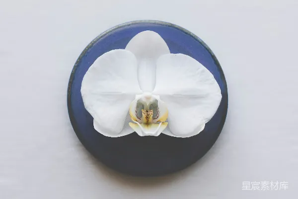 高清摄影 一个白黑相间的物体上有白色物质。