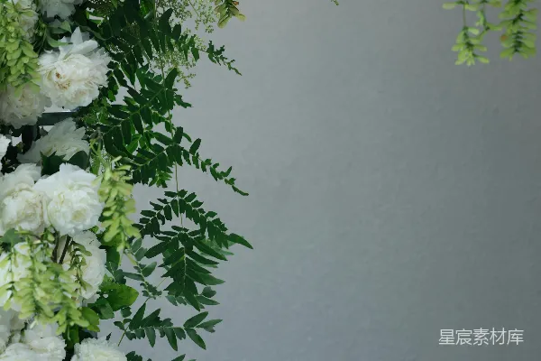 高清摄影 白花与绿植装饰着角落。
