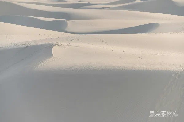 高清摄影 一群人在积雪覆盖的田野上行走。