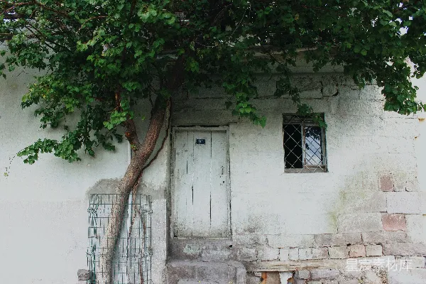 高清摄影 一座白色建筑，屋顶上长着一棵树。