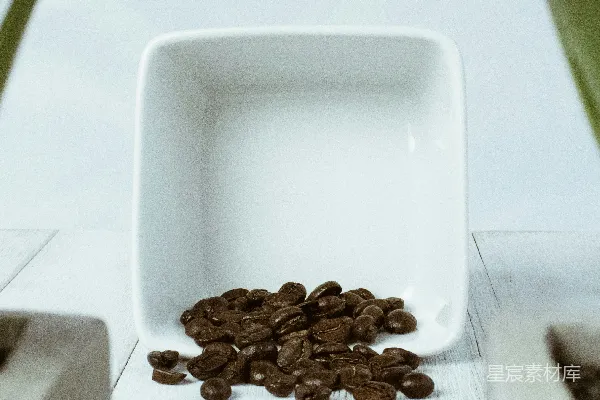 高清摄影 棕色咖啡豆放在白色陶瓷盘子上