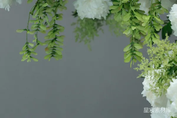 高清摄影 白色花朵和绿色植物装饰了上部。