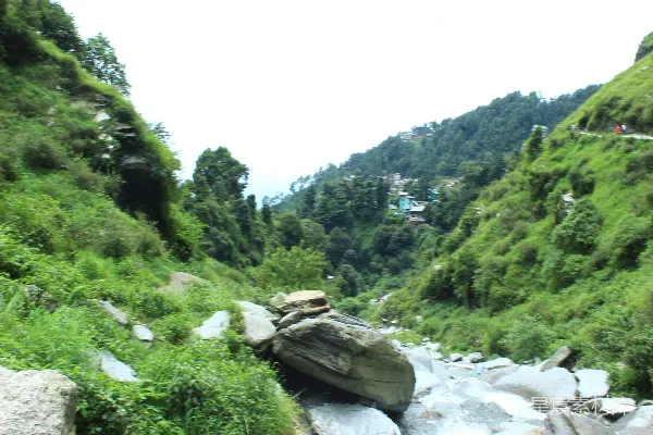 高清摄影 一片翠绿的山谷，一条湍急的河流。