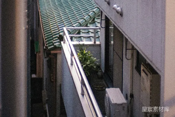 高清摄影 一座带有绿色屋顶的建筑物的景色