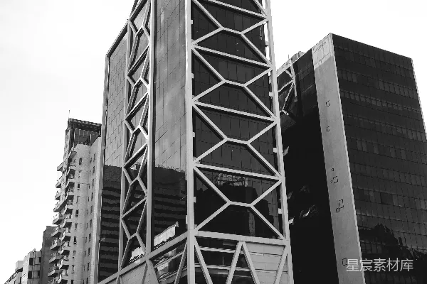 高清摄影 一张黑白照片，展示了一座高大的建筑。