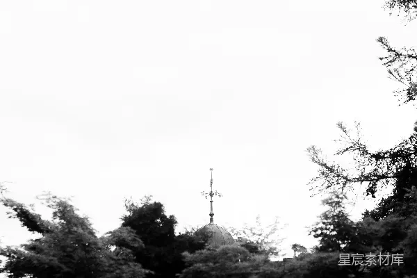 高清摄影 教堂的圆顶透过周围的树木若隐若现。