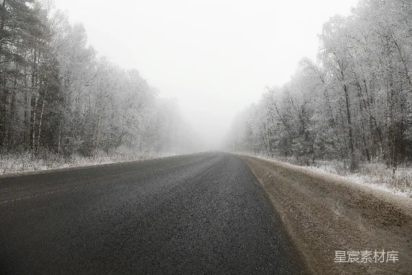 高清摄影 冬日之路，树木被雪覆盖，雾气弥漫。