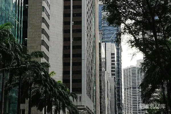 高清摄影 现代高楼大厦沿着城市街道排列，车辆穿梭其间。