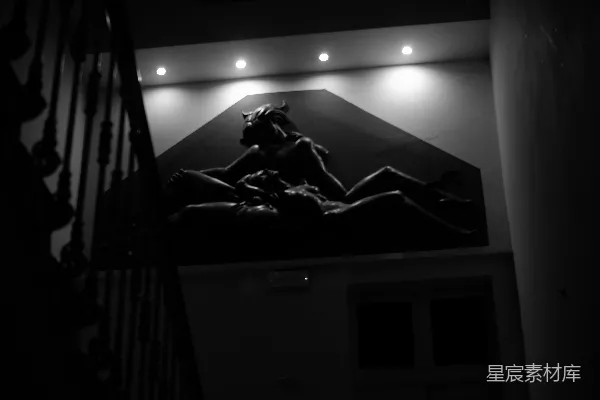 高清摄影 一张黑白色调的马在黑暗中的照片
