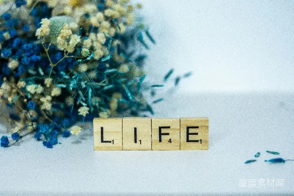 高清摄影 一个写有“生命”的木块旁边有一束花。