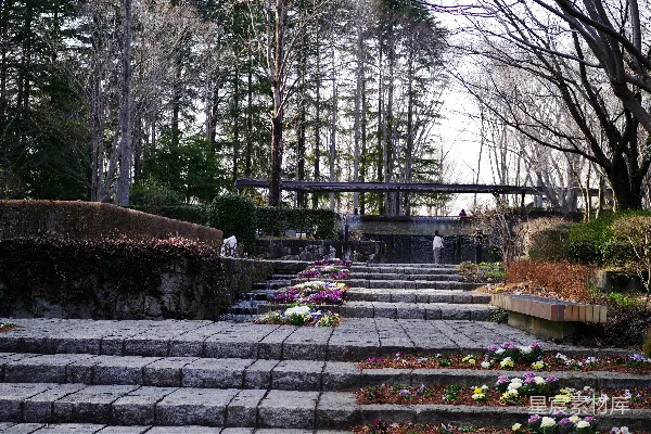 高清摄影 石阶通向公园里的一栋建筑物。