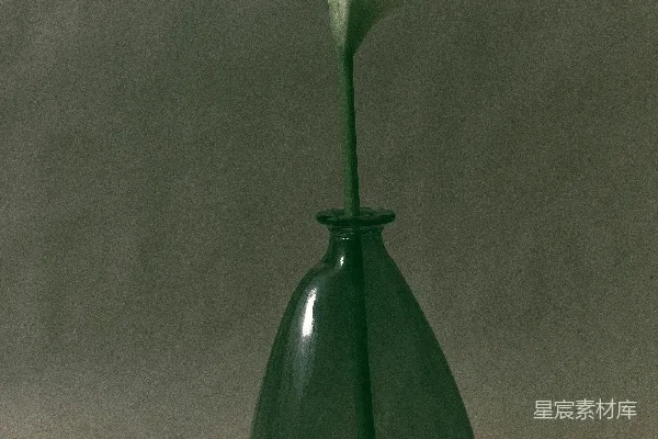 高清摄影 一束白色的水仙花放在黑色的花瓶中。