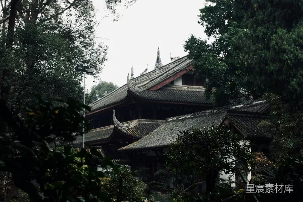 高清摄影 一座大型建筑前有许多树木。