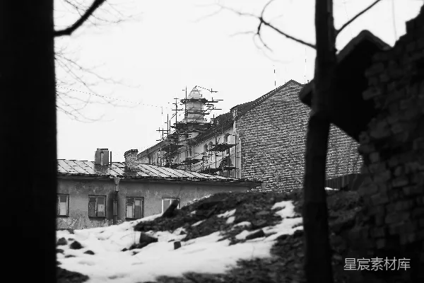 高清摄影 有脚手架的建筑矗立在树木和积雪之间。