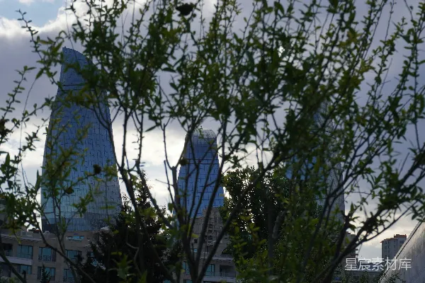 高清摄影 摩天大楼在郁郁葱葱的绿树丛中若隐若现。