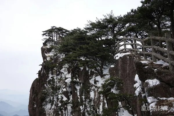 高清摄影 积雪覆盖的山崖，有树木和木制栏杆。
