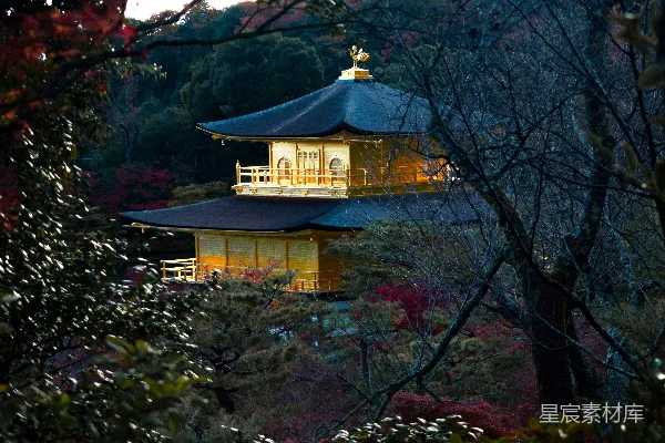 高清摄影 一片森林中央的一座小屋