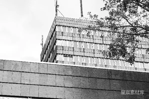 高清摄影 一张黑白照片，展示了一座高大的建筑物。