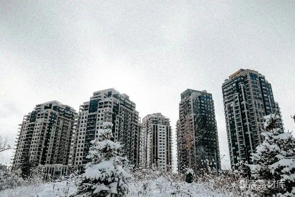 高清摄影 雪景，其中高楼大厦和树木高耸入云。