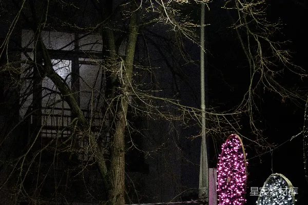 高清摄影 一盏路灯照亮了一个黑暗的夜晚场景。