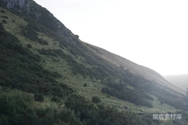 高清摄影 图像中出现了一片植被覆盖的山坡。