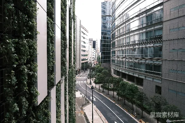 高清摄影 道路两旁是高楼和绿色植物。
