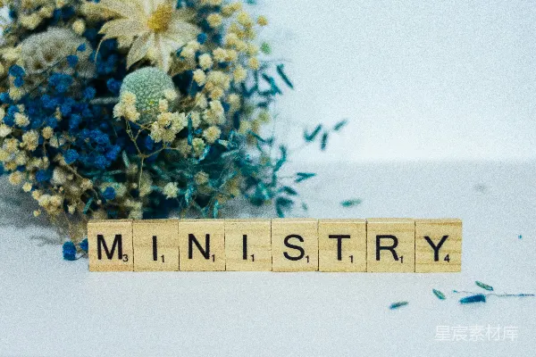 高清摄影 MINISTRY的拼字与干花
