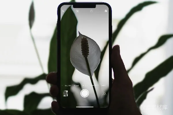 高清摄影 手里拿着银色的iPhone 6的人