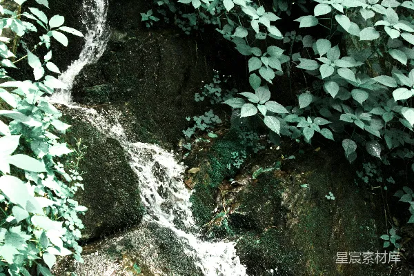 高清摄影 瀑布从岩石上流下，周围绿意盎然。