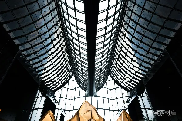 高清摄影 金雕塑位于一个令人惊叹的玻璃天花板之下。