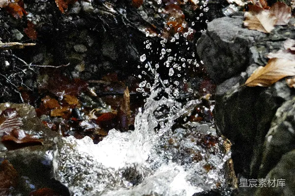 高清摄影 森林中岩石上流动的水流