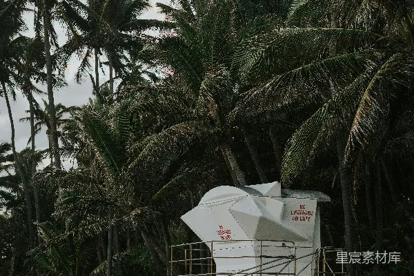 高清摄影 救生员站在海滩上，背景中有棕榈树。