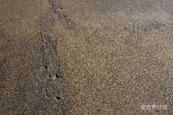 高清摄影 棕色地面上的洞