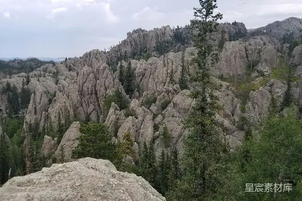 高清摄影 一片岩石山丘，山丘上长出一棵树。