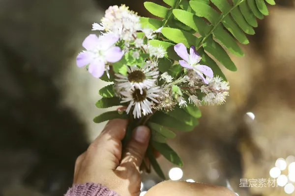 高清摄影 拿着白色和紫色花的人