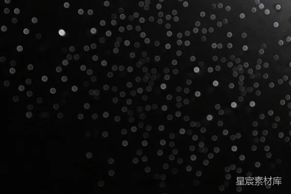 高清摄影 一张黑白照片，显示雨滴落下。