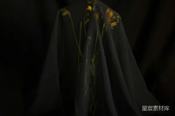 高清摄影 一张人物身体的特写照片