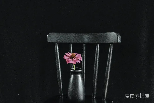 高清摄影 红黄相间的花放在黑色的椅子上
