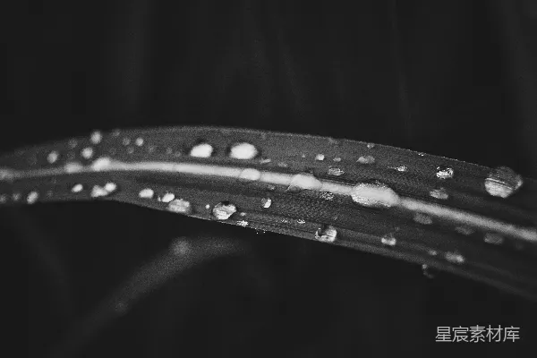 高清摄影 叶子上的水滴
