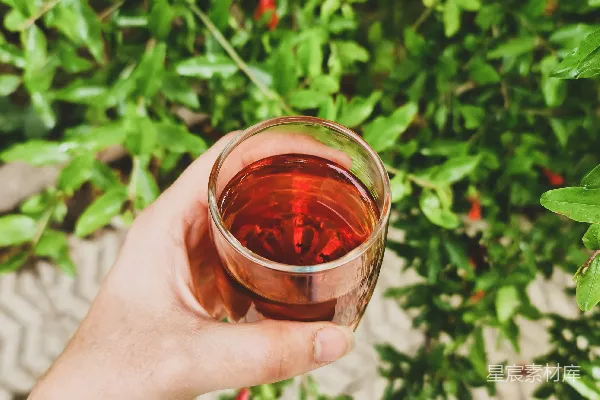 高清摄影 一个人拿着一杯茶站在灌木丛前