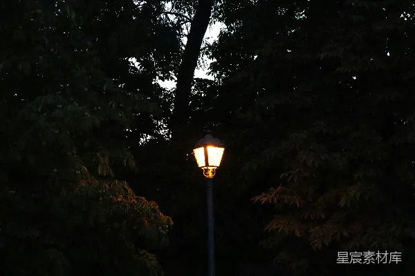 高清摄影 一盏路灯在一些树木前面