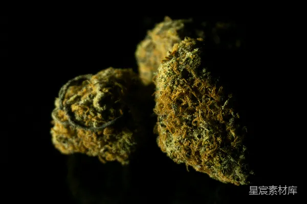 高清摄影 一张黄色和绿色岩石的特写照片