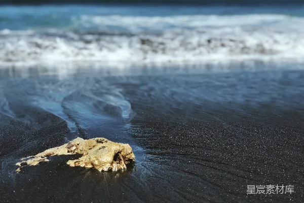 高清摄影 海滩上的石头