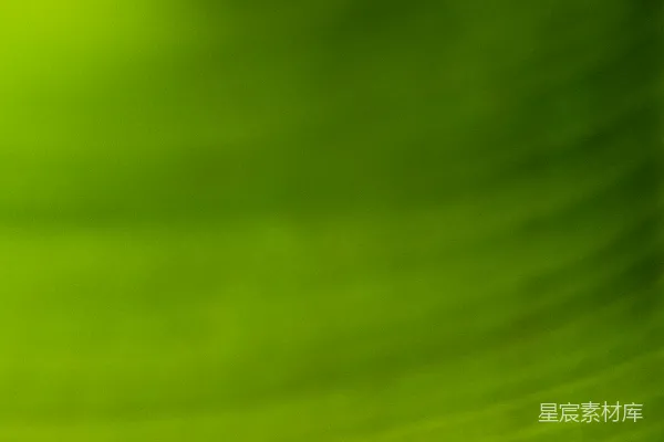 高清摄影 绿色和白色条纹的纺织品
