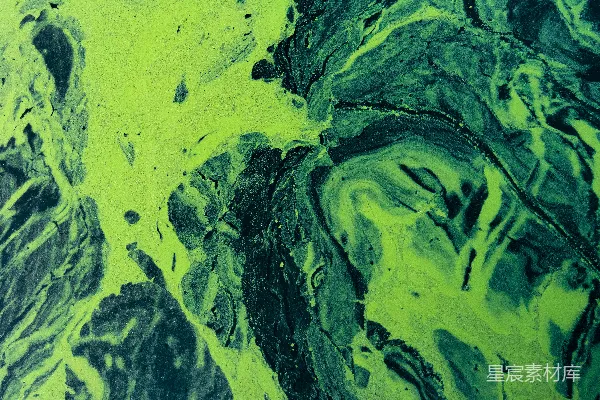 高清摄影 抽象画，紫色和黄色