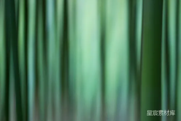 高清摄影 模糊的竹子照片